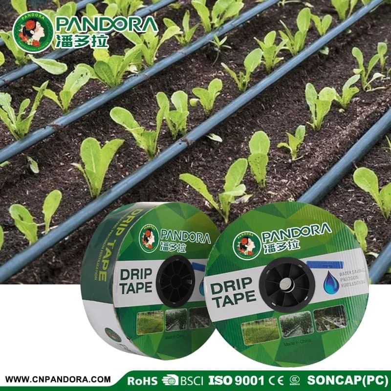 16mm*0.15mm Thickness Inlaid Patch Drip Irrigation Tape — CF01-16*0.15