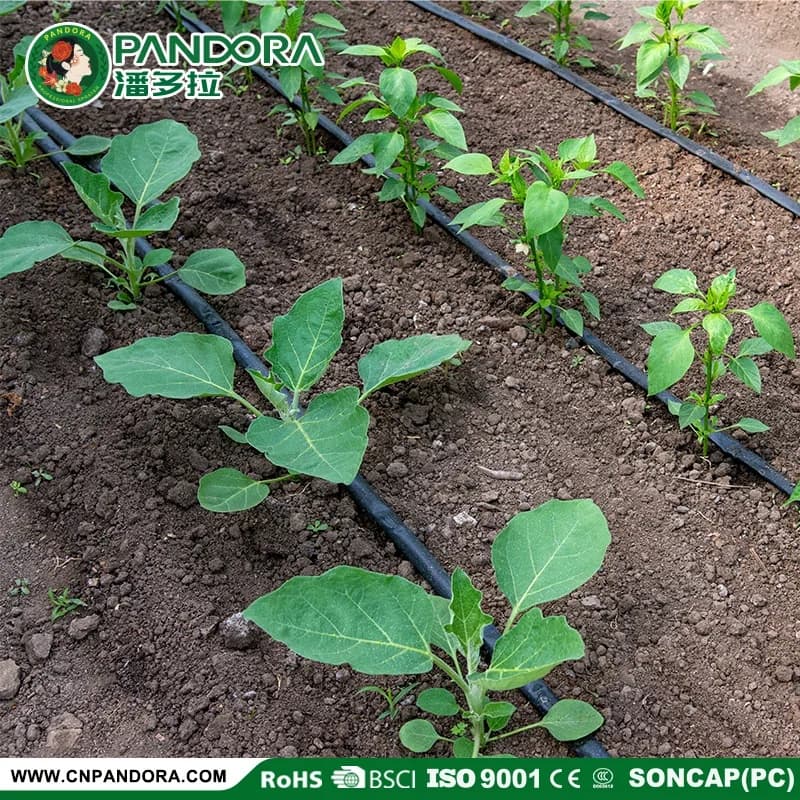 16mm*0.6mm Thickness Inlaid Patch Drip Irrigation Tape — CF01-16*0.6