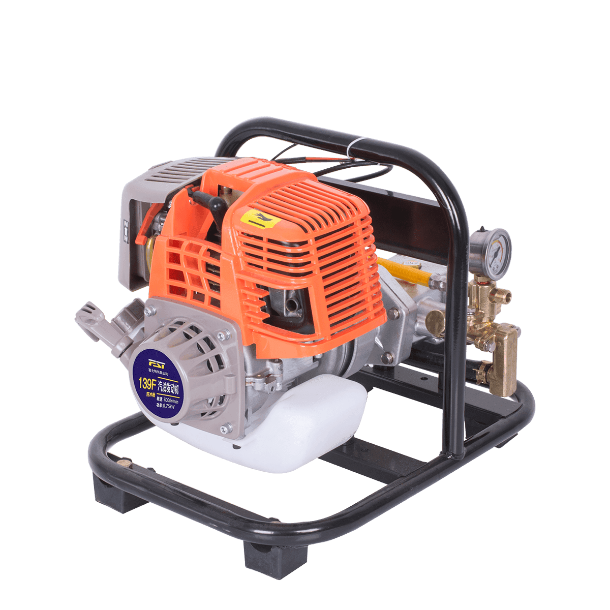 FST-P768-1 Portable Power Sprayer — FST-P768-1